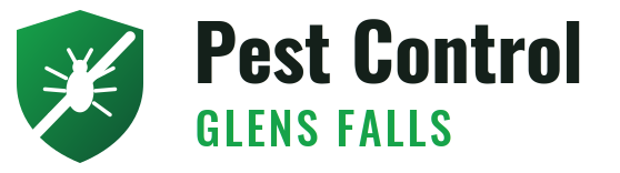 Glens Falls Pest Control
